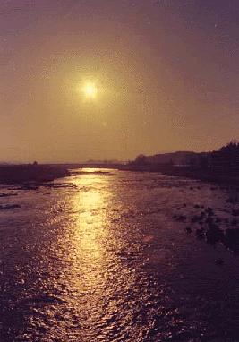 �[�Ă��̋�����