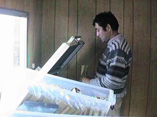 �����̐^��