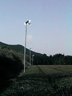 �h���t�@��