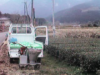 ��y�엿�̎U�z