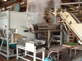 �����@�Ə����t�����@